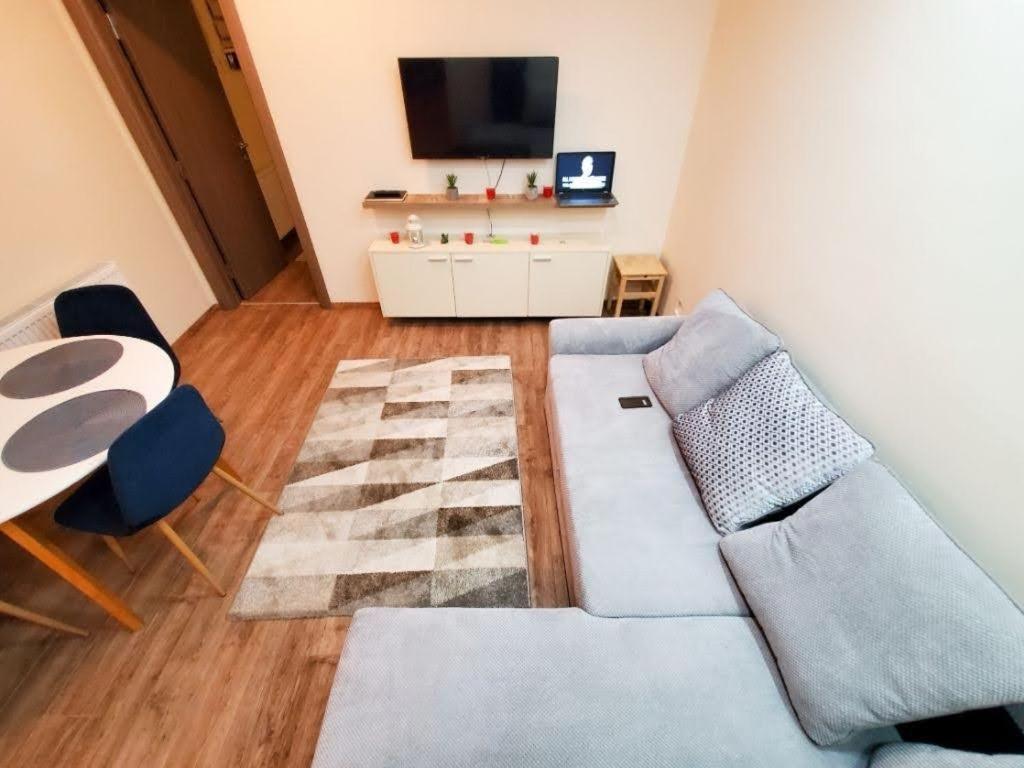 Srna Vekic Apartment *