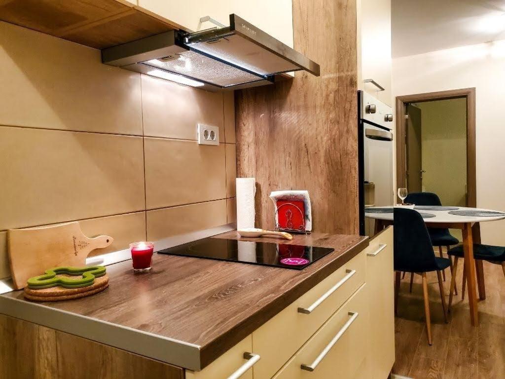Srna Vekic Apartment